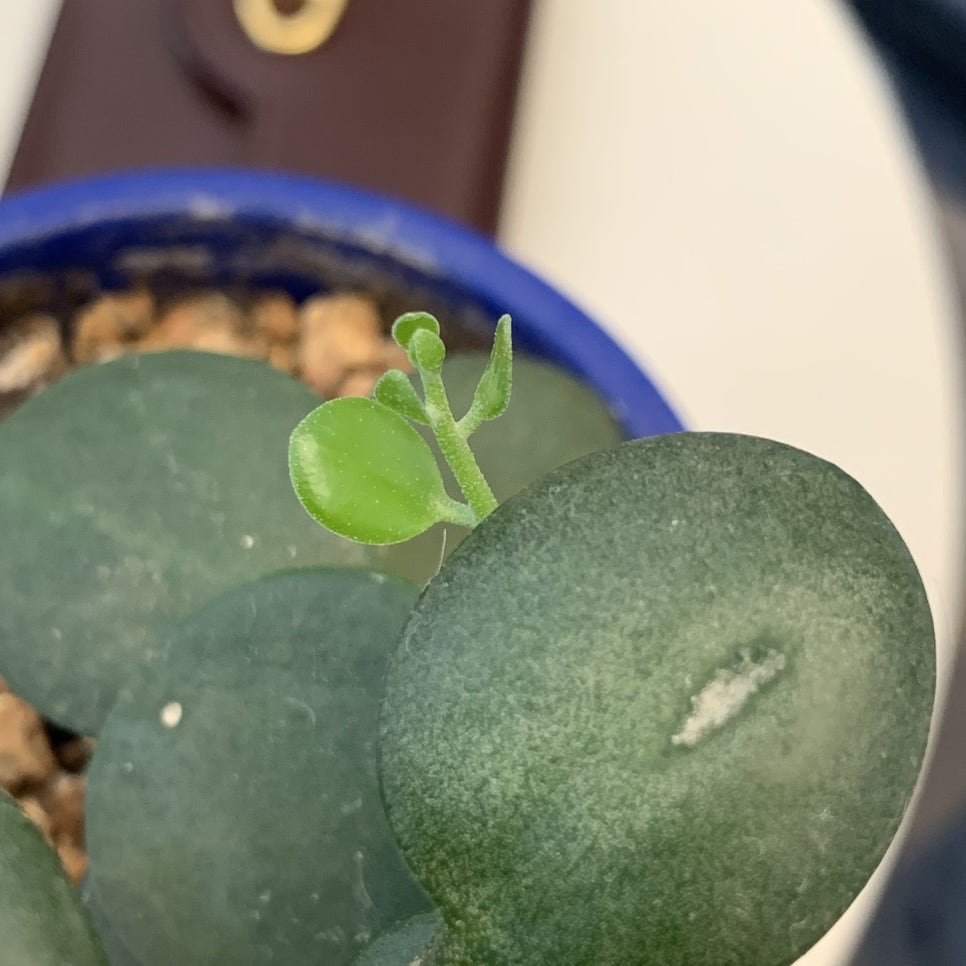 프로그커피브루어리 이미지