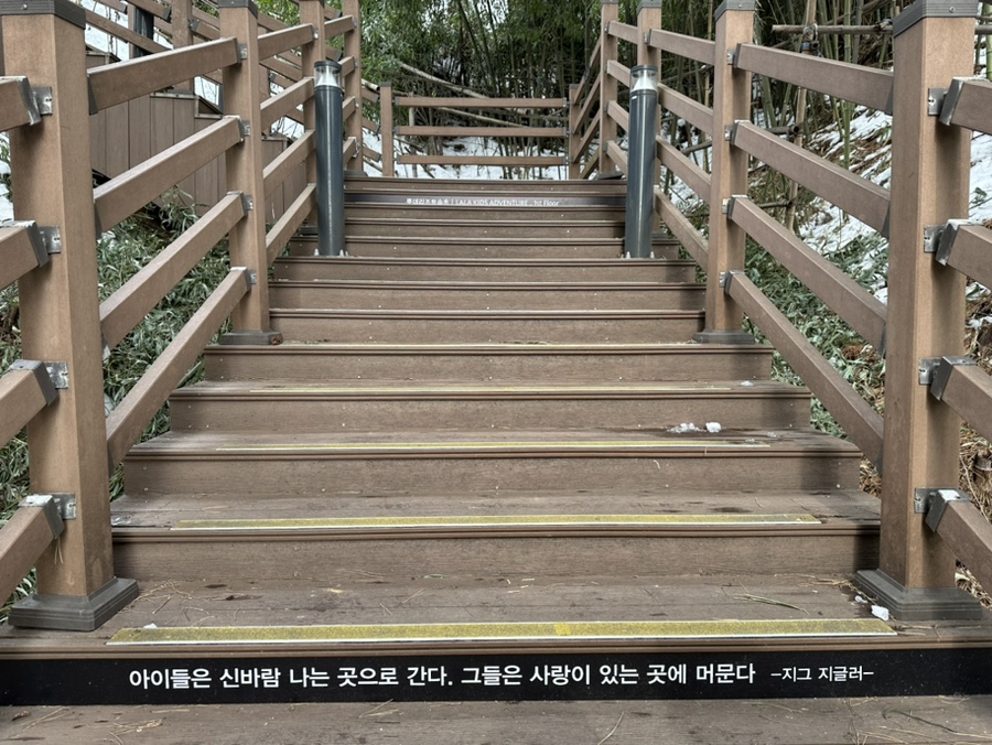 어살아있네 이미지