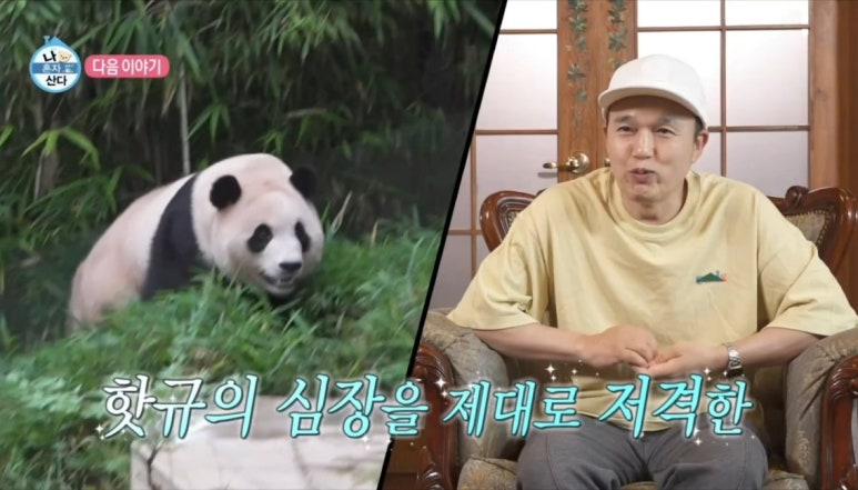 포킥스엔터테인먼트 이미지