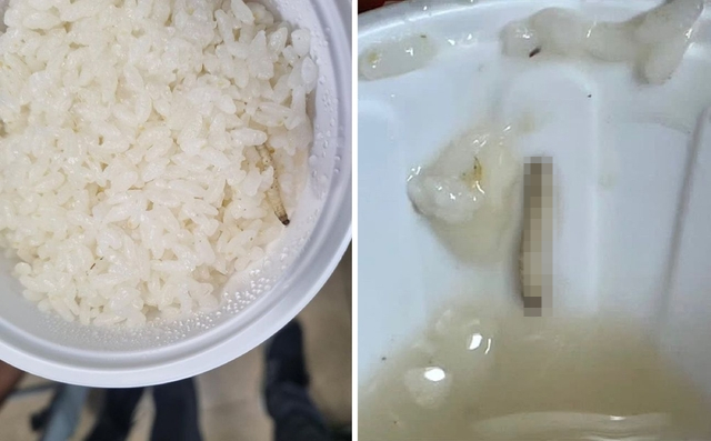 익산학교급식 이미지