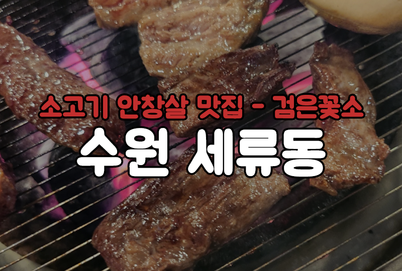 검은꽃소 이미지