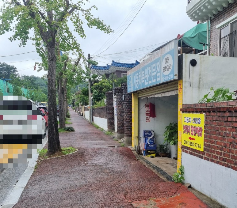 첨단덴트칼라 이미지