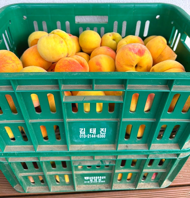김0철 이미지