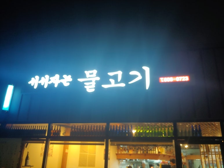 서서자는물고기 이미지