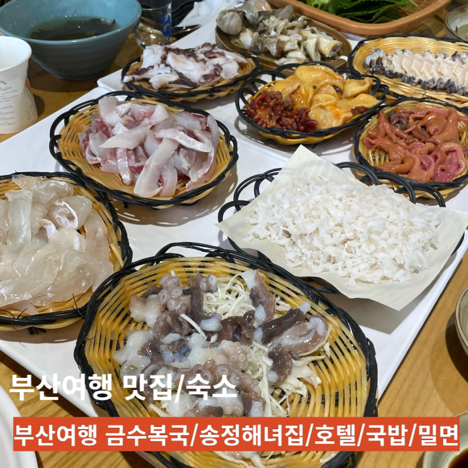 하운드 송정 이미지