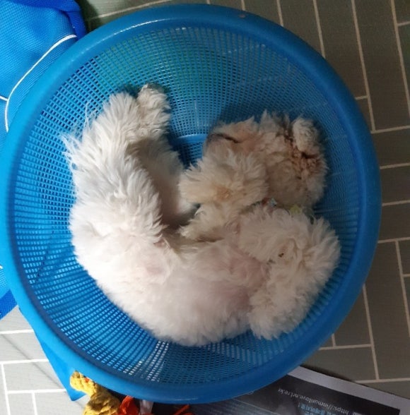 소쿠리광고 이미지