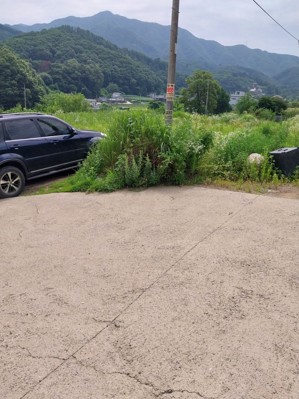 도그비앤비 이미지