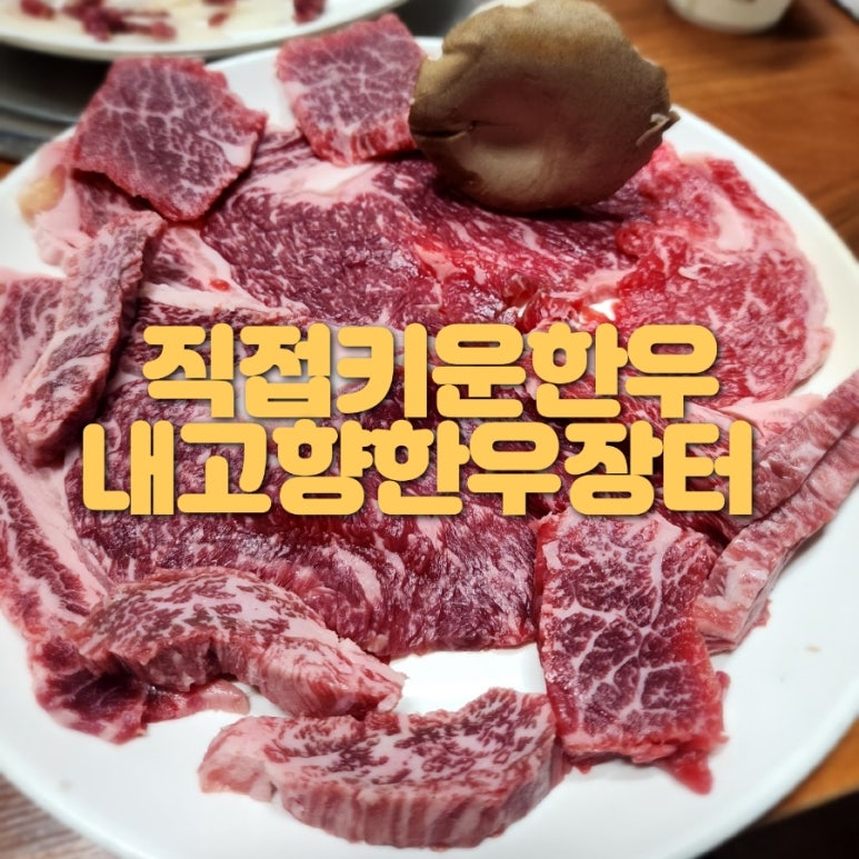 내고향한우장터 이미지