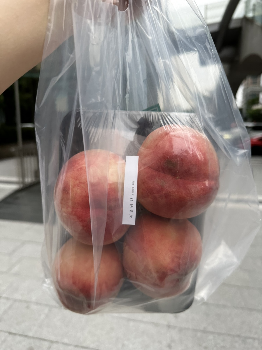 리코베리 이미지