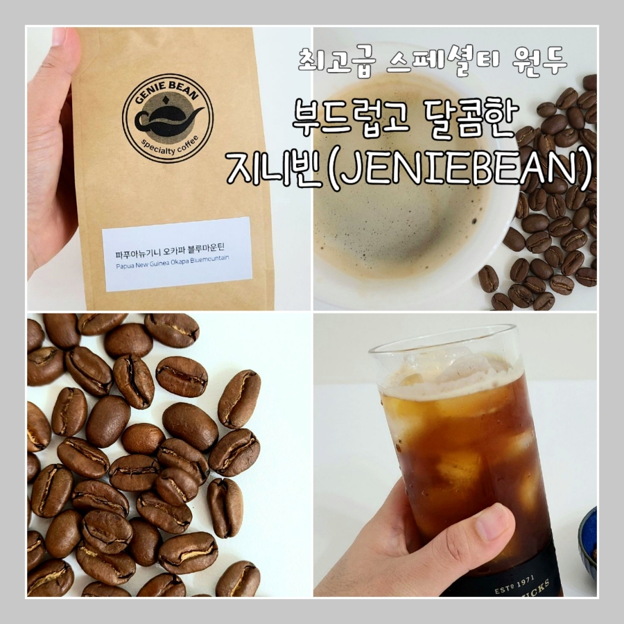 지니빈 이미지