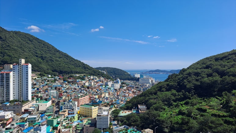 송원물회 이미지