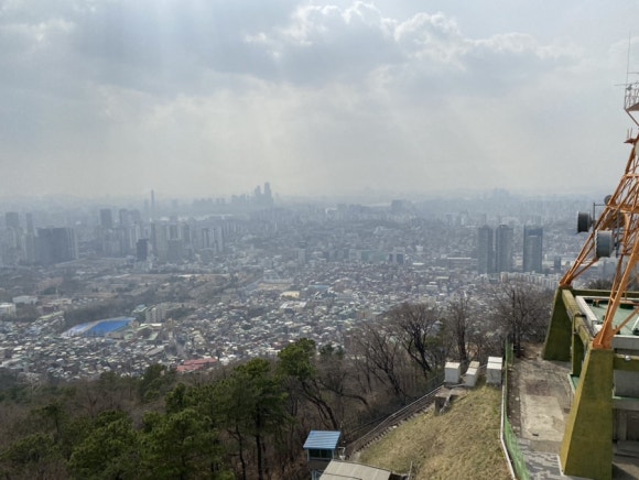 비비스베지 이미지