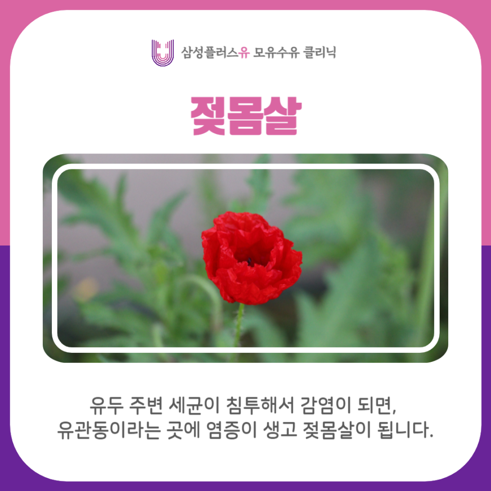 삼성플러스유모유수유클리닉 이미지
