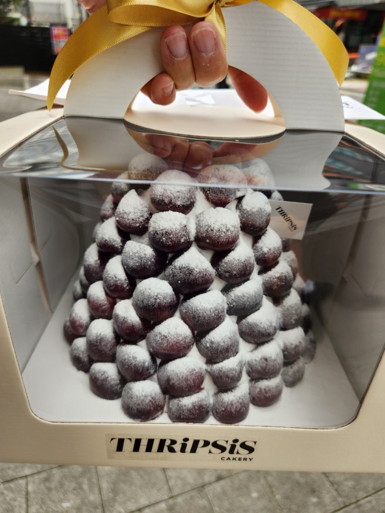 드립시스 이미지