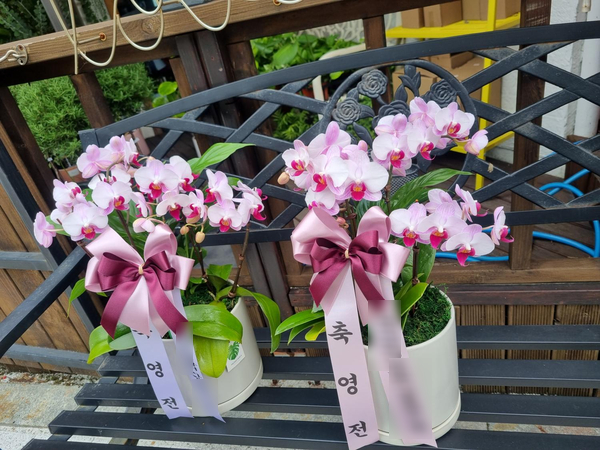 난 플라워카페 이미지