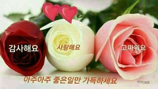 미애네 이미지