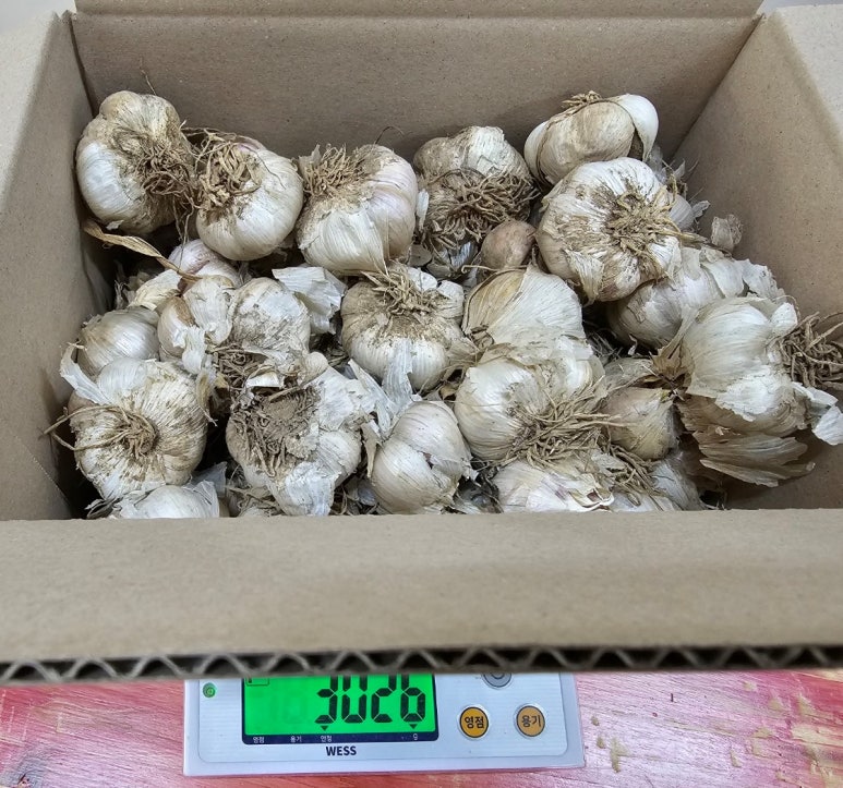 선솔죽염티카페 이미지