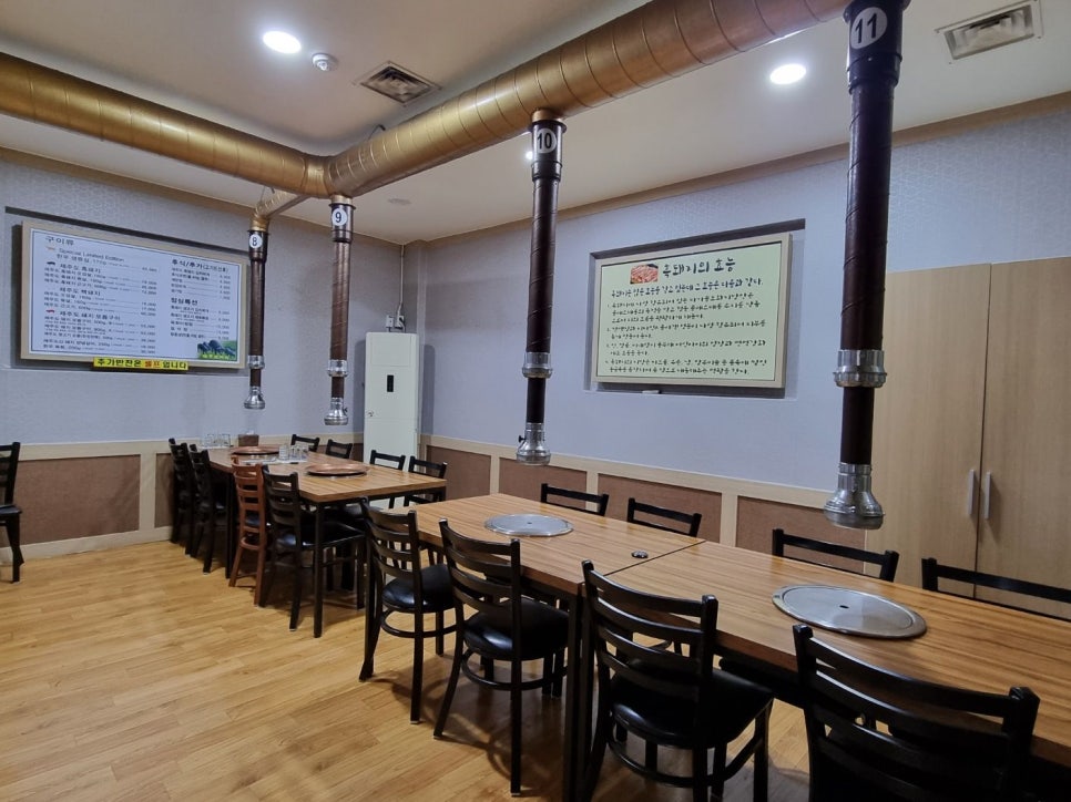 제주도야지 이미지