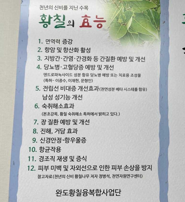 원조황칠나무녹두닭백숙 이미지