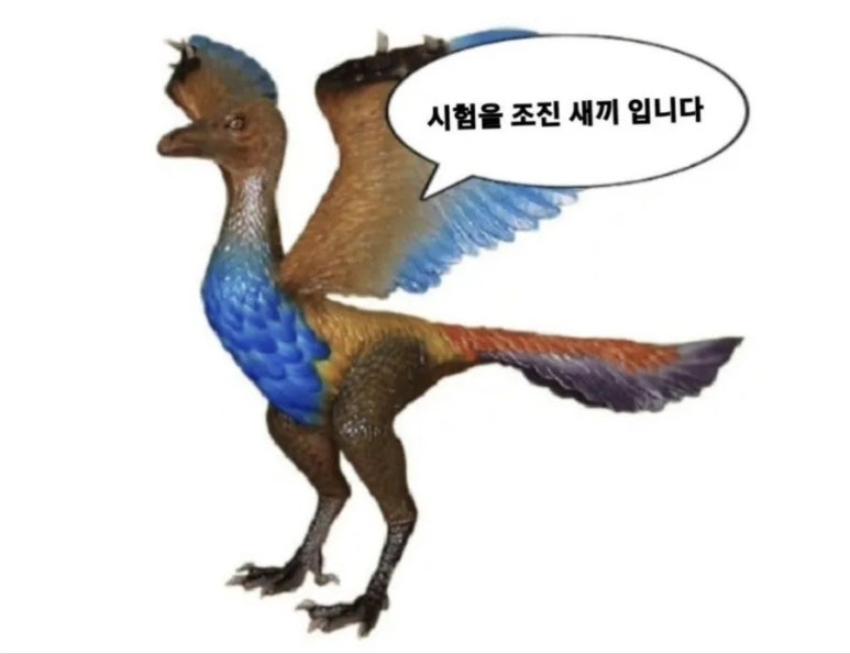 가현아구찜 이미지