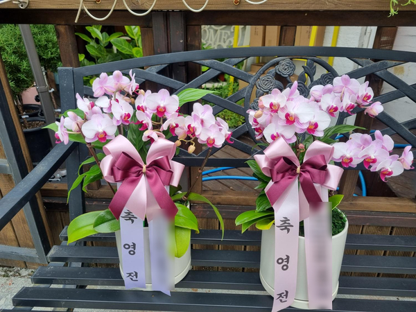 난 플라워카페 이미지