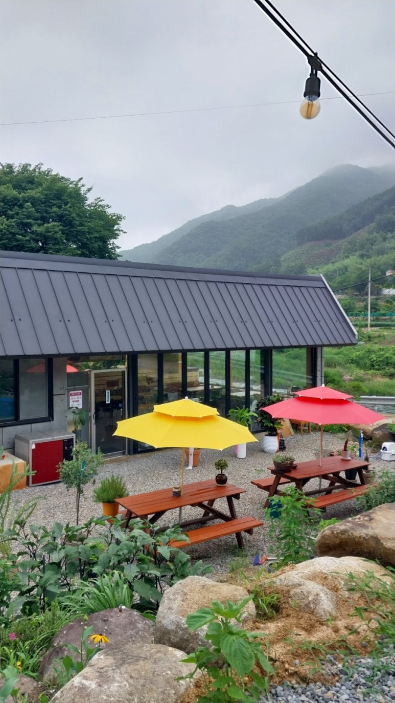 윤서네 칼국수 이미지