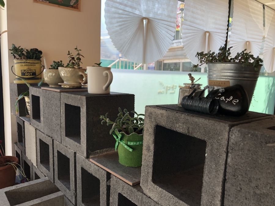 단디카페 이미지