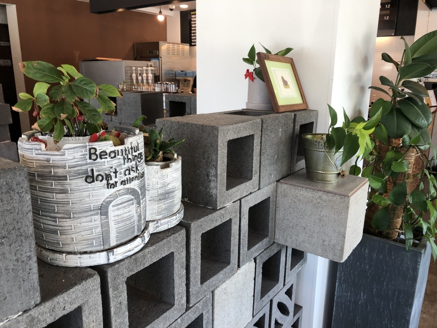 단디카페 이미지