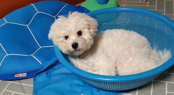 소쿠리광고 이미지