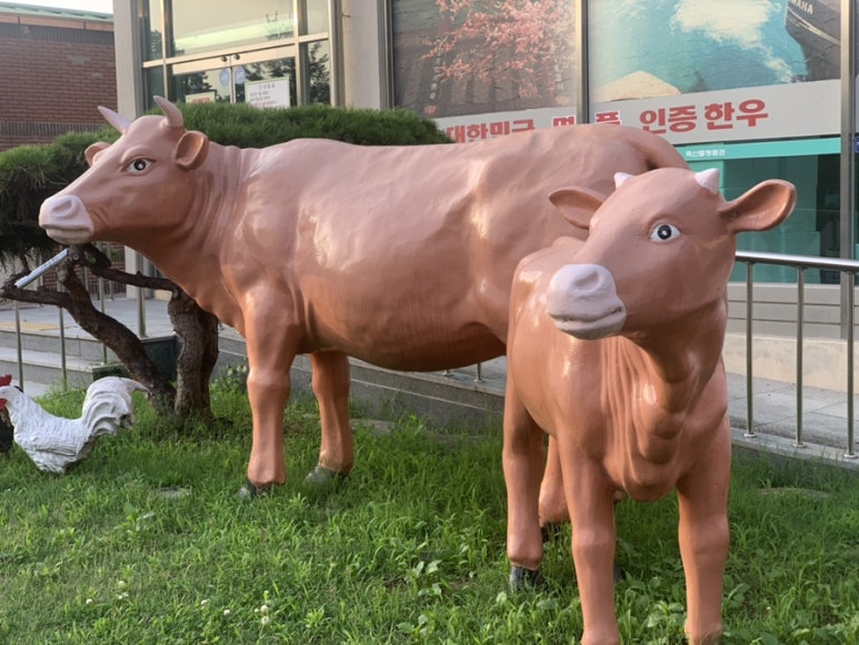 축산물명품관 이미지