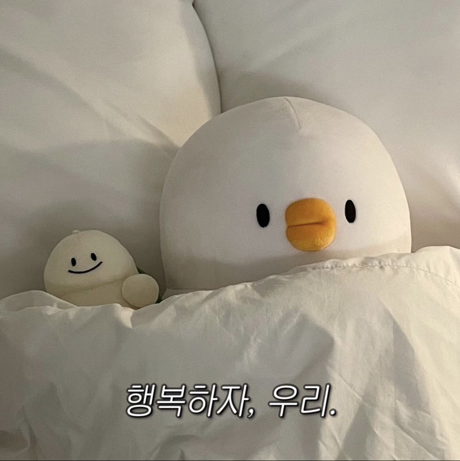 도넛하우스 이미지