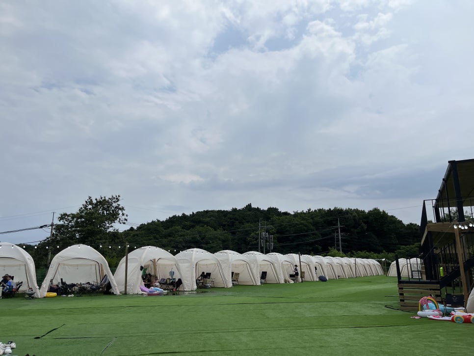 세렌디피아 이미지