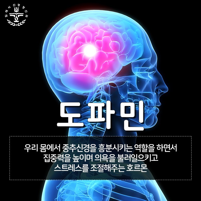 더건PT 이미지