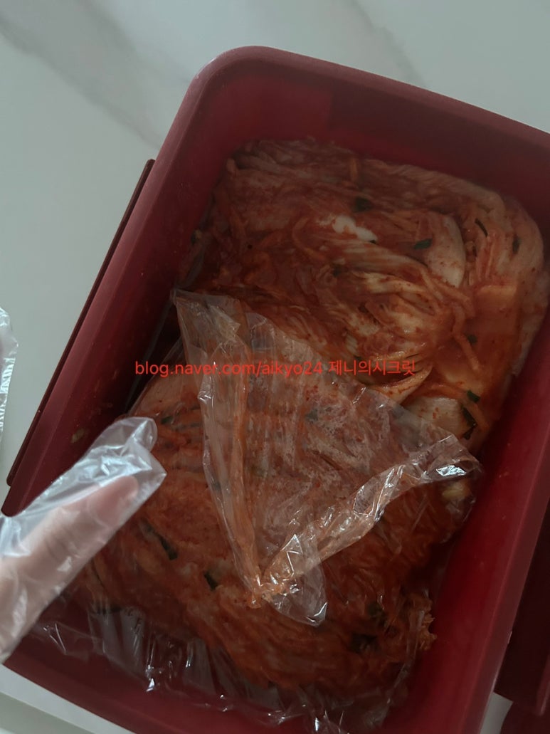 프란조피자.후다닭 이미지