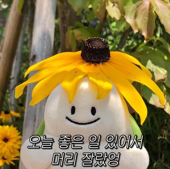 저스트커피 이미지