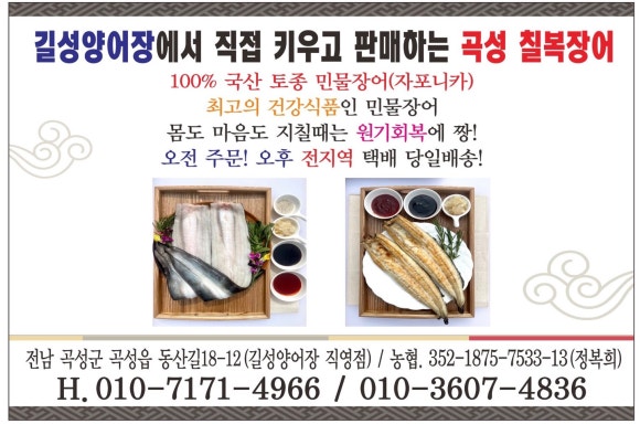 칠복장어 이미지