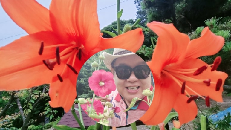영상화원 이미지