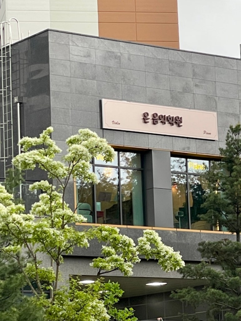 예그리나피아노 이미지