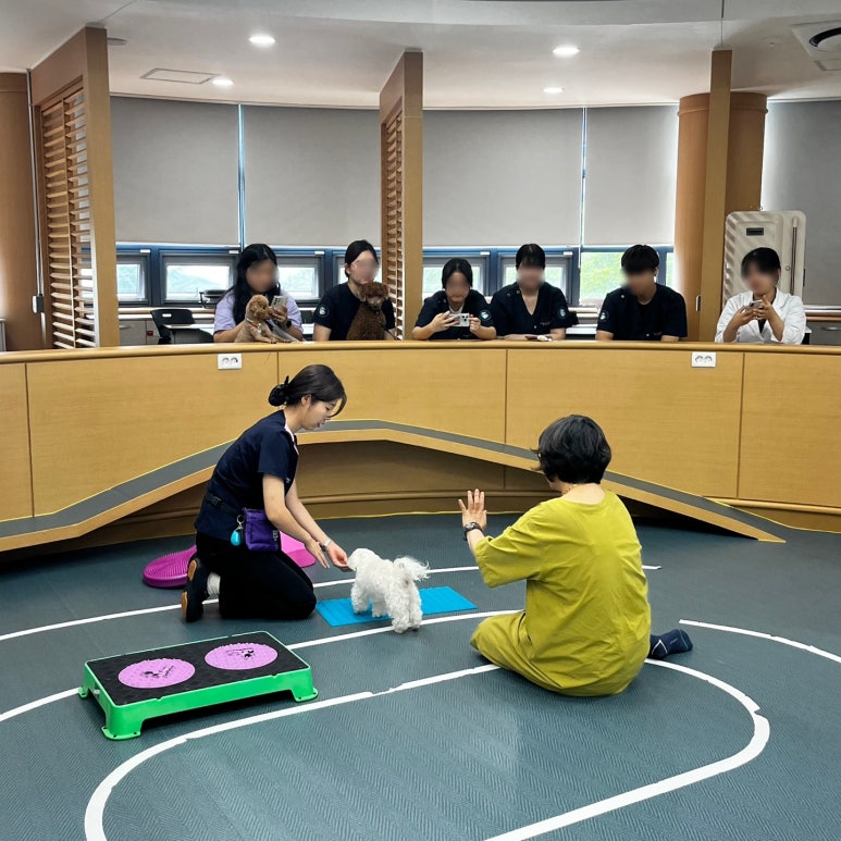 구미펫직업훈련학원 이미지