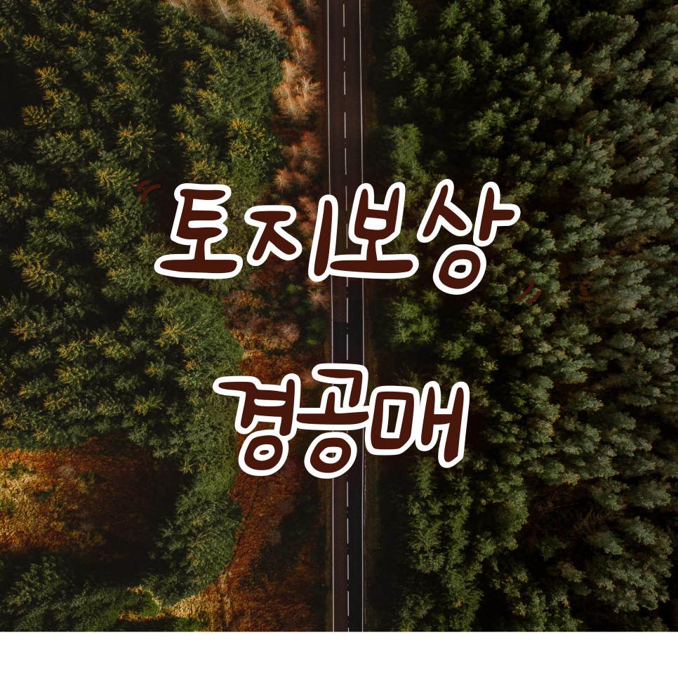민솔정보 이미지