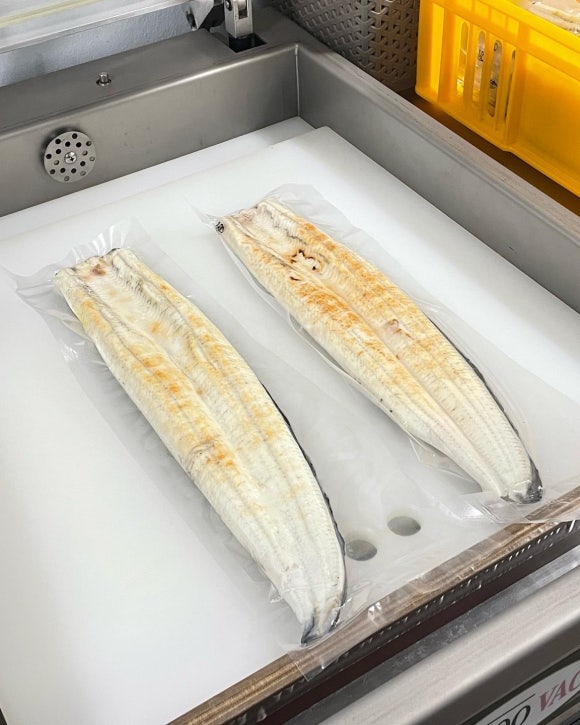 칠복장어 이미지