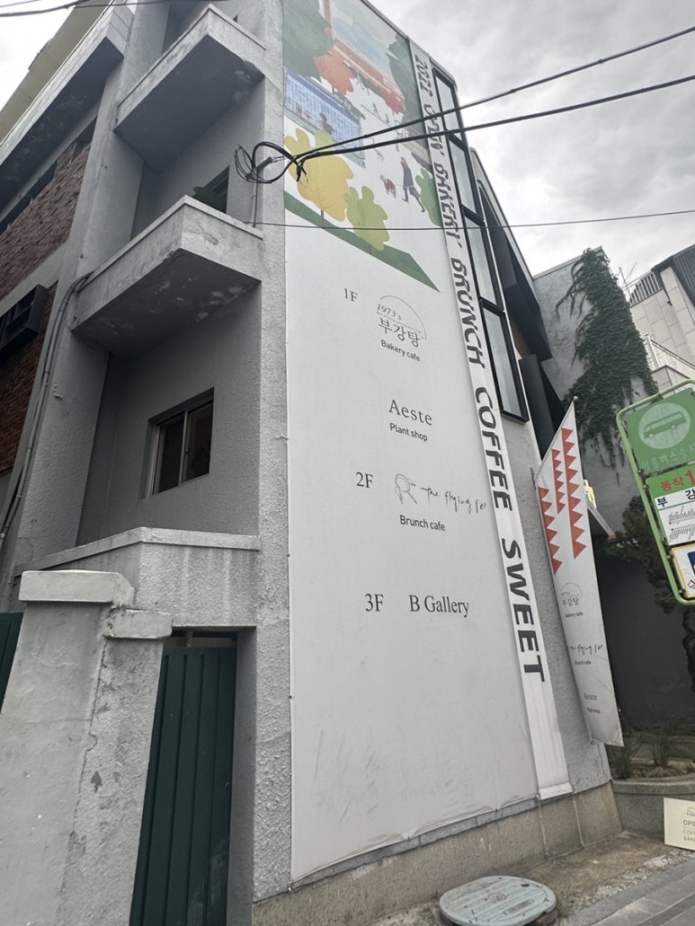 플라잉팬 부강 이미지