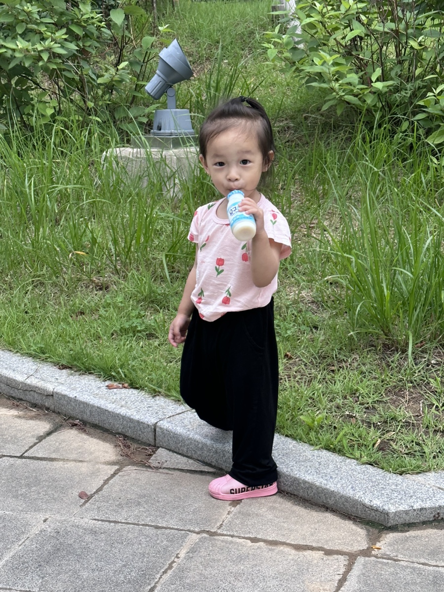 가윤수선 이미지