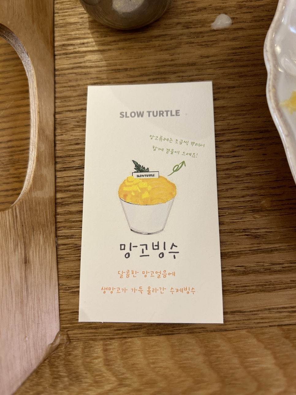 슬로우터틀 이미지