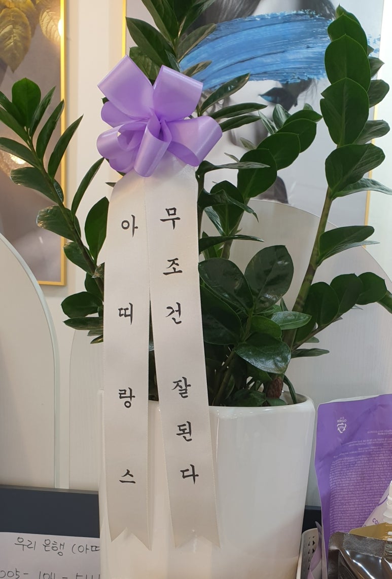 아띠랑스(Attirance) 이미지