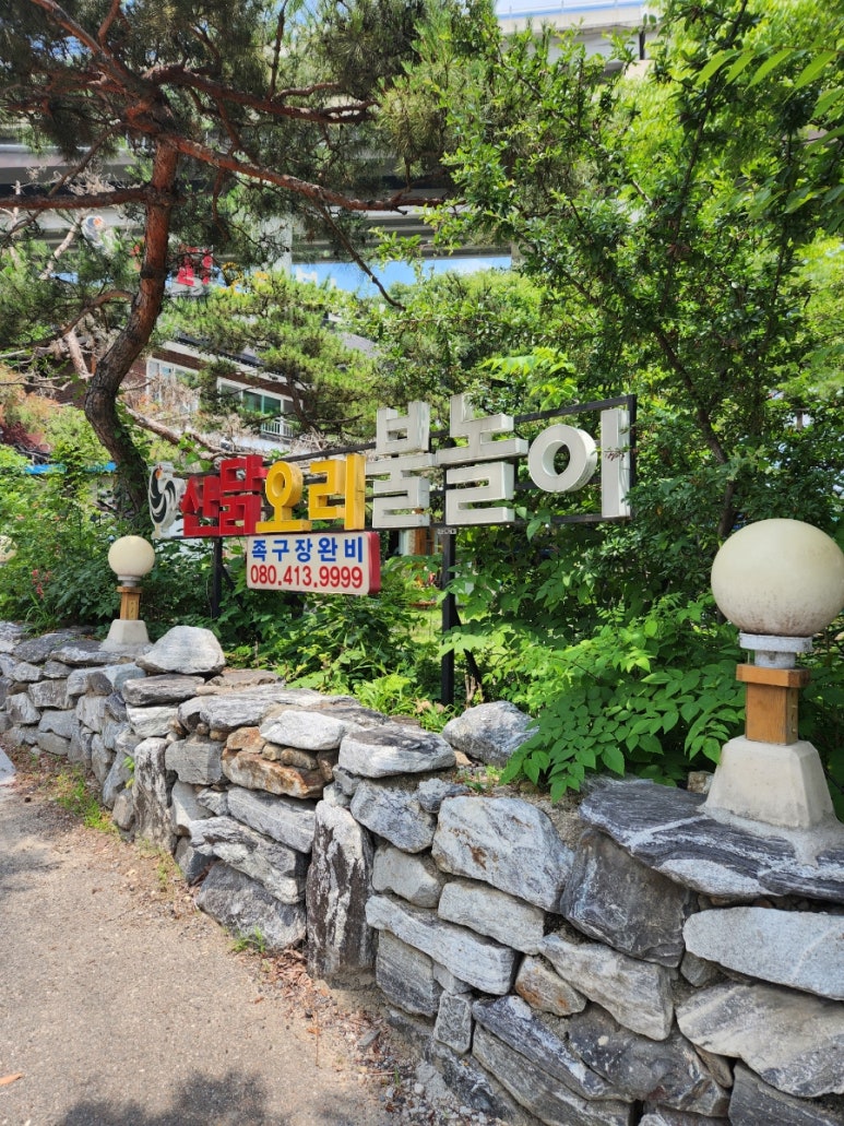 산닭백숙 이미지