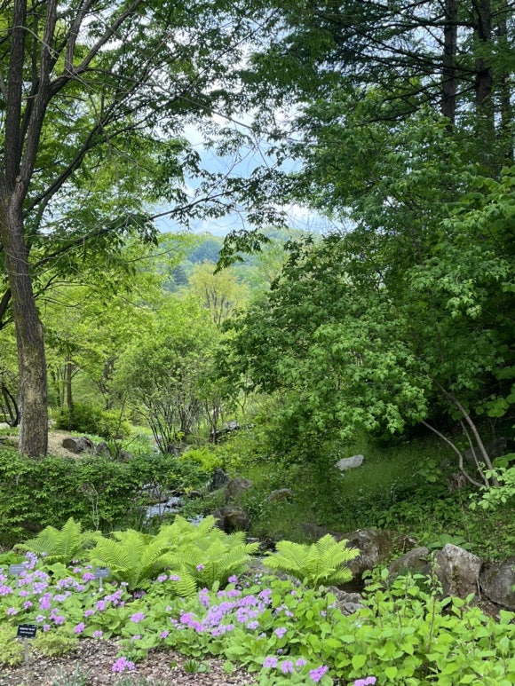 제이드룩 이미지