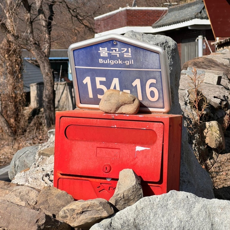 리리포레스트 이미지