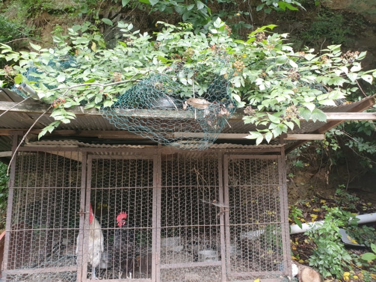 영숙농산물 이미지