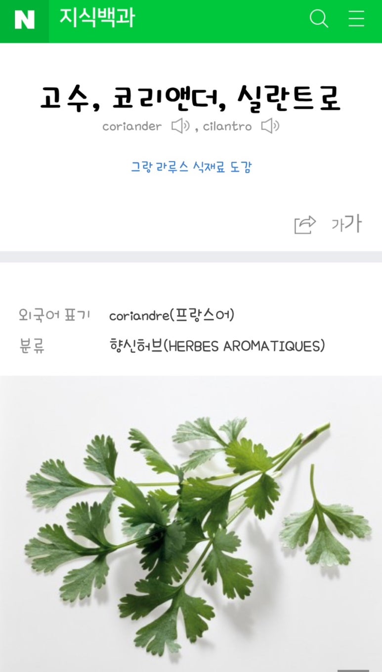 실란트로키친 이미지